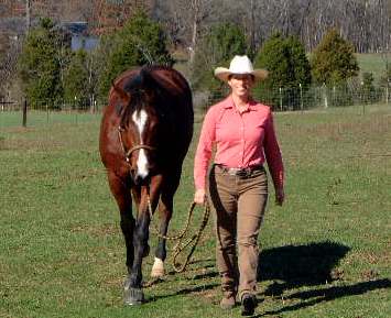 Lead Rope Lessons