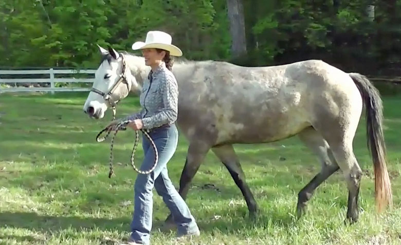 Leading a Horse