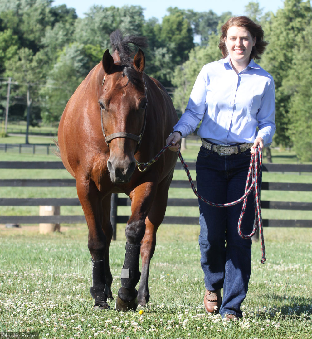 Leading a Horse