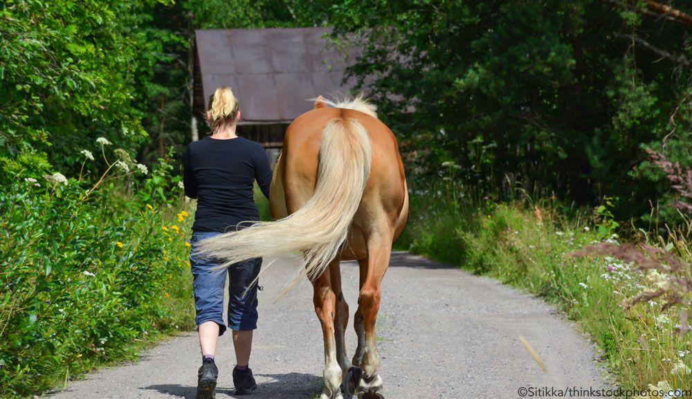 Leadiing a Horse