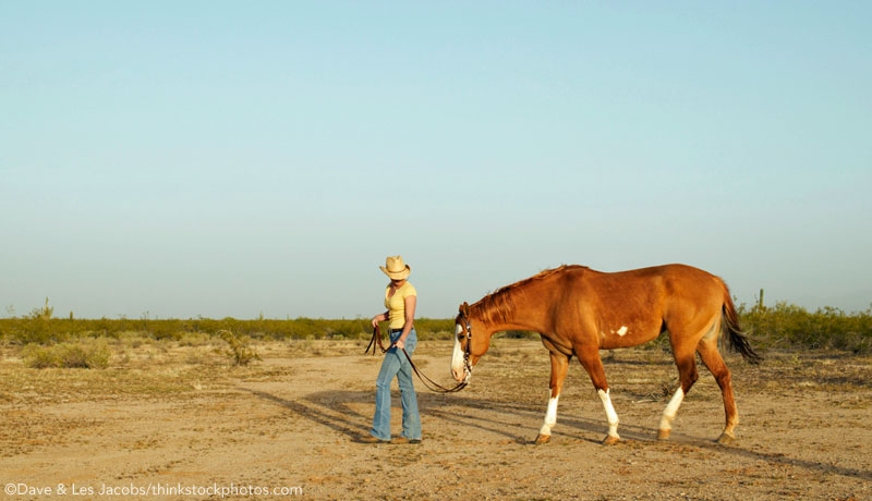 Leading a horse