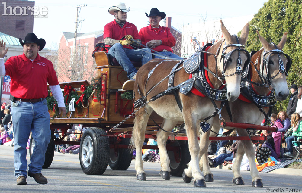 Lebanon Christmas Carriage Parade