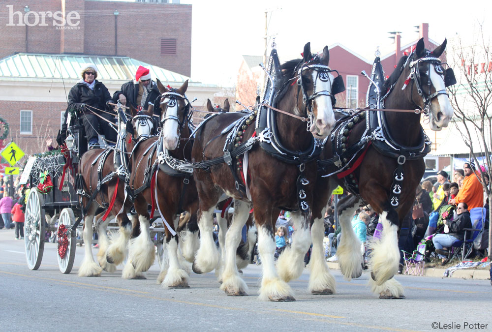 Lebanon Christmas Carriage Parade