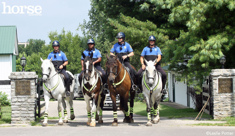 Mounted Police Officer