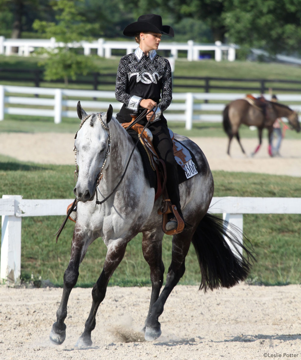 Loping Gray Horse