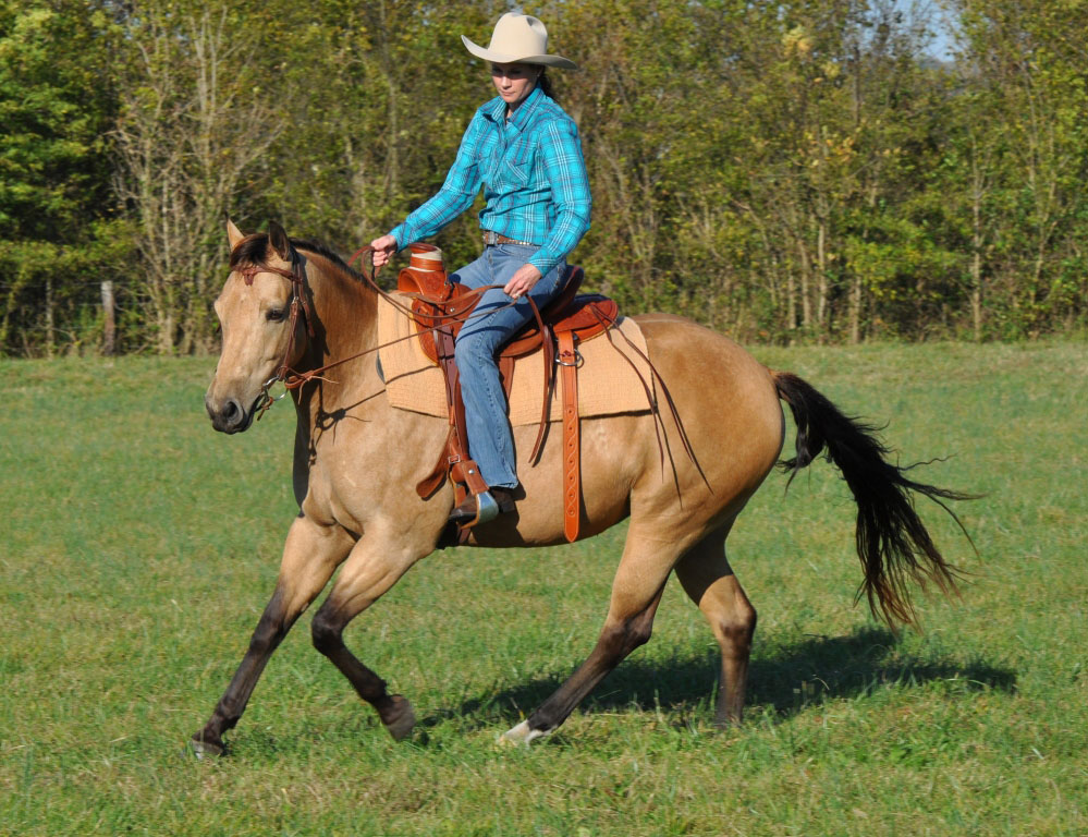 Happy Horse