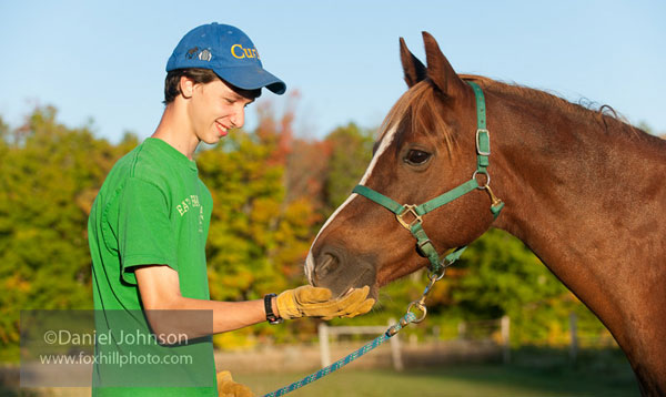 Love horses