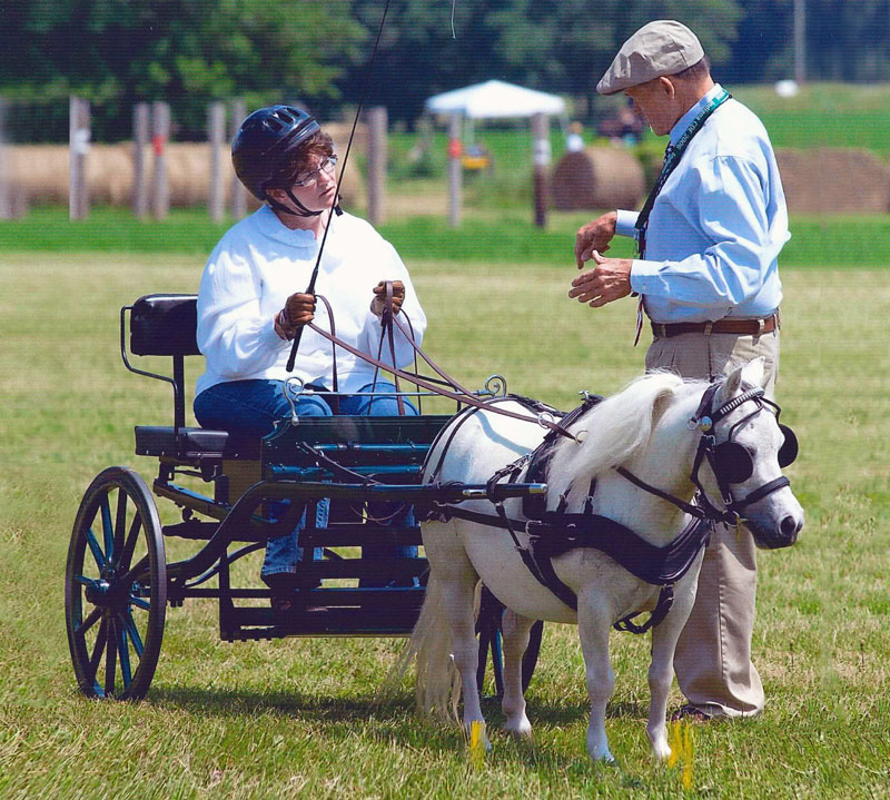 Mini Horse Driving Mini Horse Driving