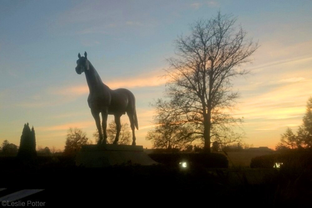 Man o' War