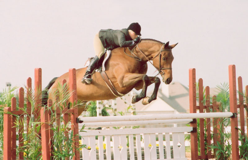 Mandy McCutcheon riding in the hunters