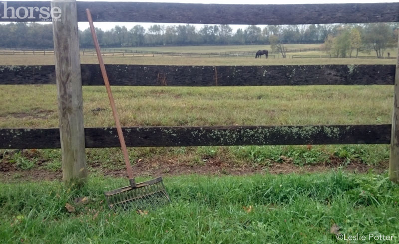 Manure Fork