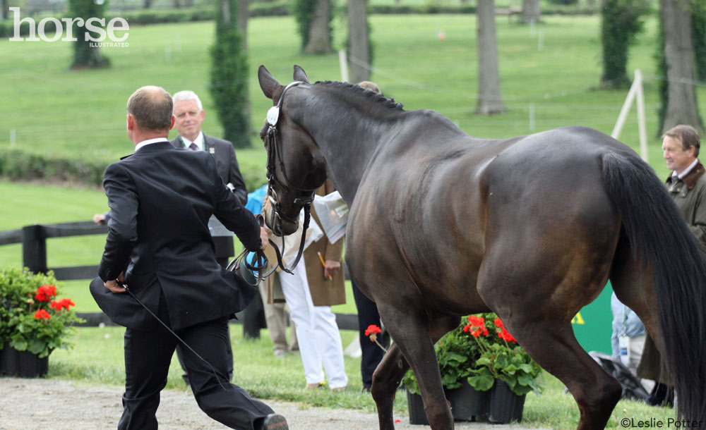 Rolex Jog