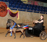 The 2009 AMHR National Show will be held at the Expo Square Arena