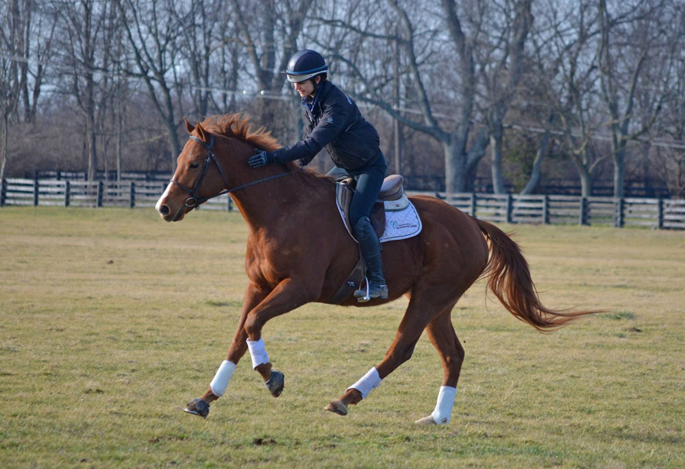 Maker's Mark Secretariat Center