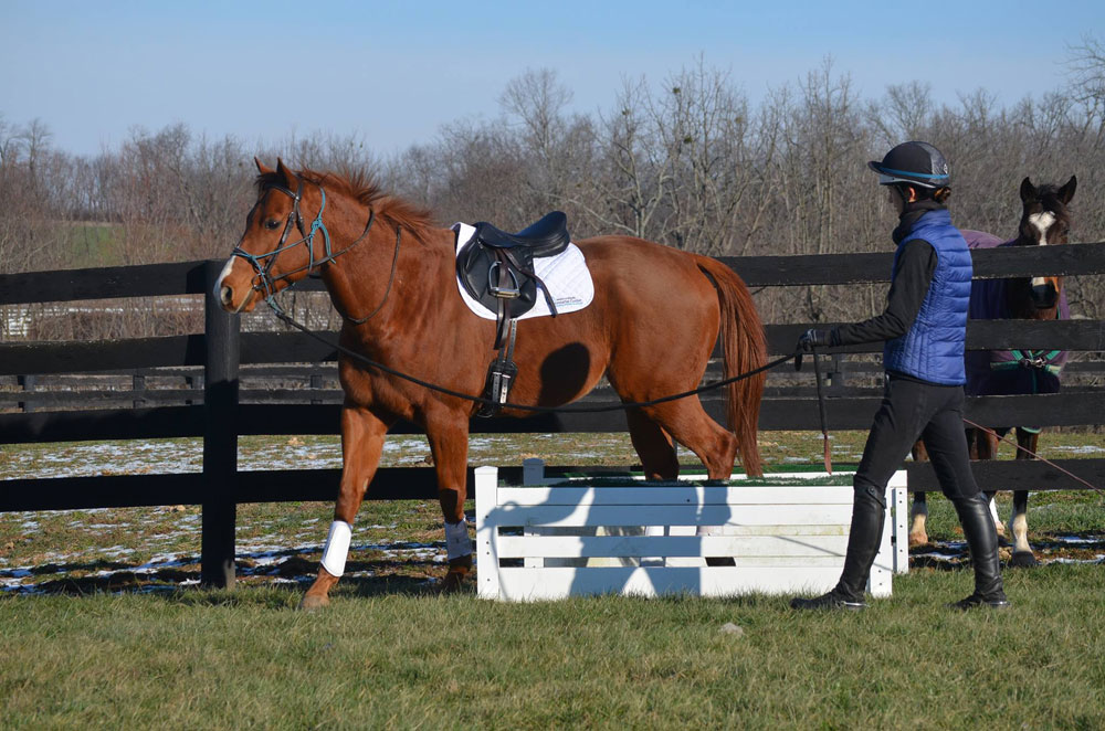 Maker's Mark Secretariat Center