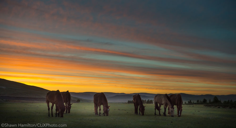 Mongolia