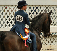 Youth Morgan exhibitor