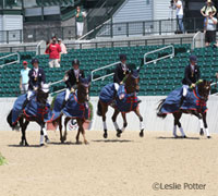 Show Jumping