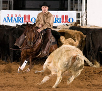 Pete Branch and Miss Dainty Cat - NCHA Novice World Champions