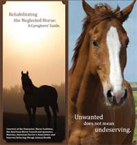 The Caregiver's Guide is the AHC's newest horsecare brochure