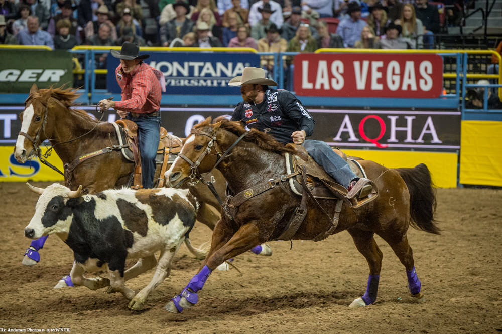 Steer wrestling at the NFR in Las Vegas