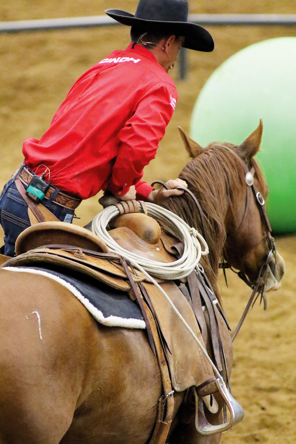 Nick Dowers at Road to the Horse