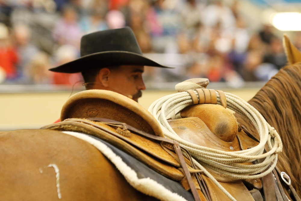 Nick Dowers at Road to the Horse