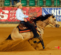 National Reining Horse Association Championship