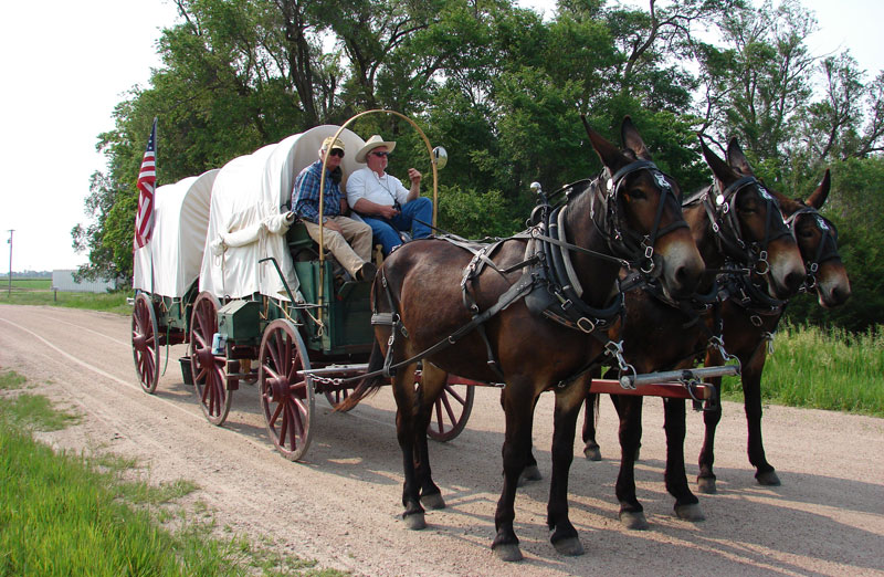 Oregon Trail Wagon