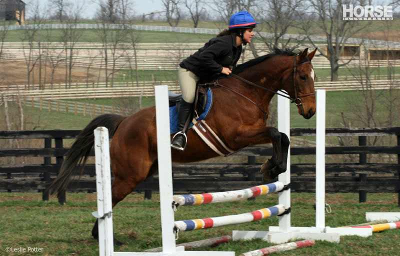 Thoroughbred Jumping