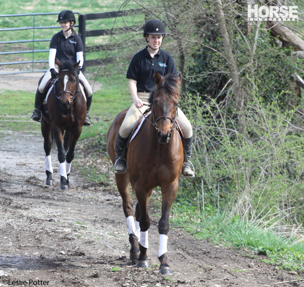 Thoroughbred Trail Ride