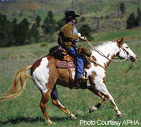 The 2008 APHA's World Show will be held in Fort Worth
