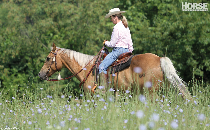 Trail Riding