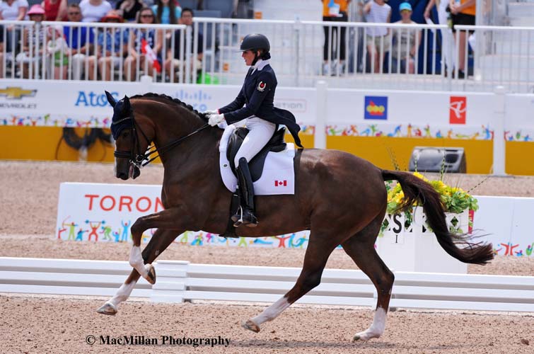 PanAm Dressage