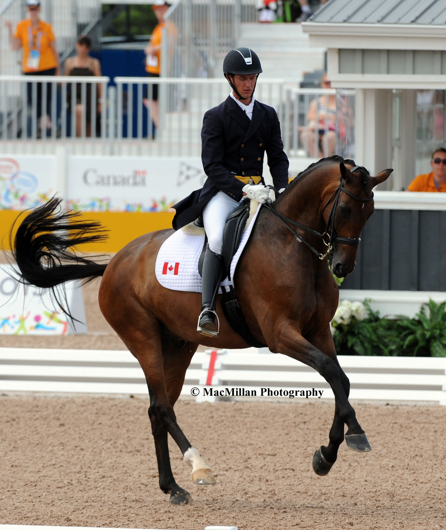 PanAm Dressage