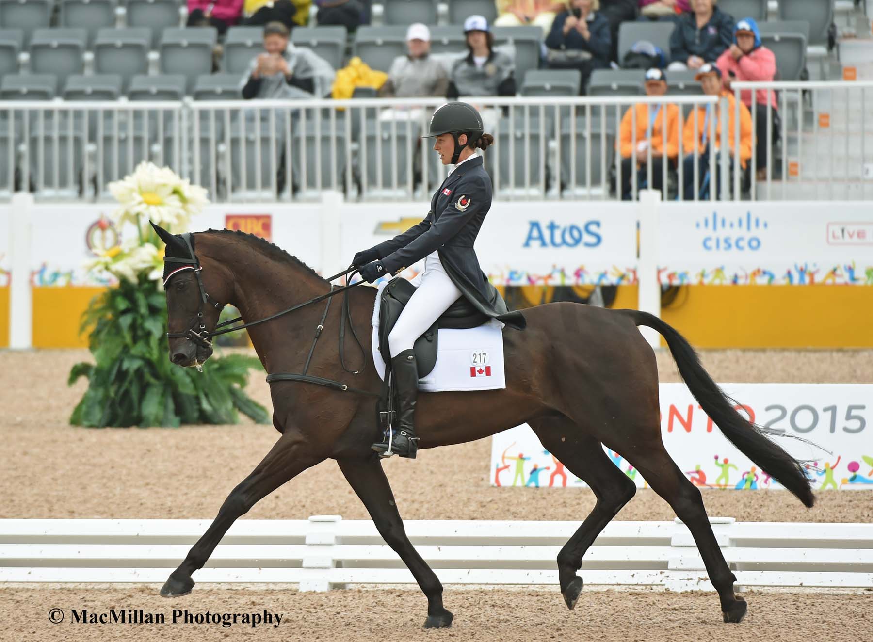 PanAm Eventing Dressage