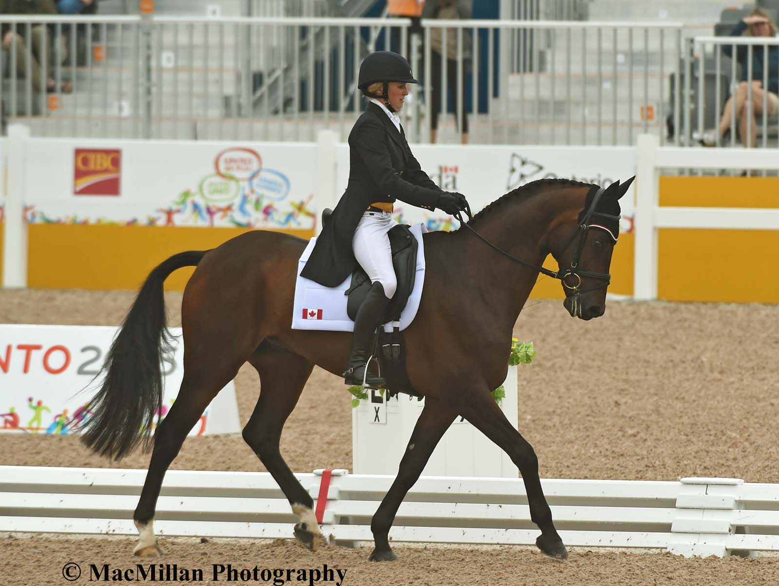 PanAm Eventing Dressage