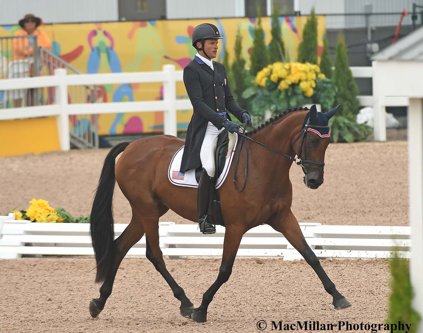 PanAm Eventing Dressage