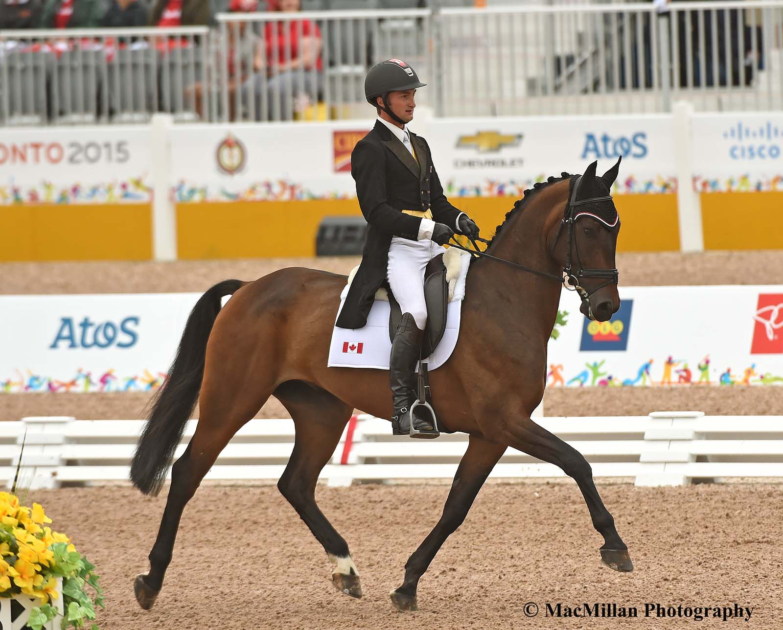 PanAm Eventing Dressage