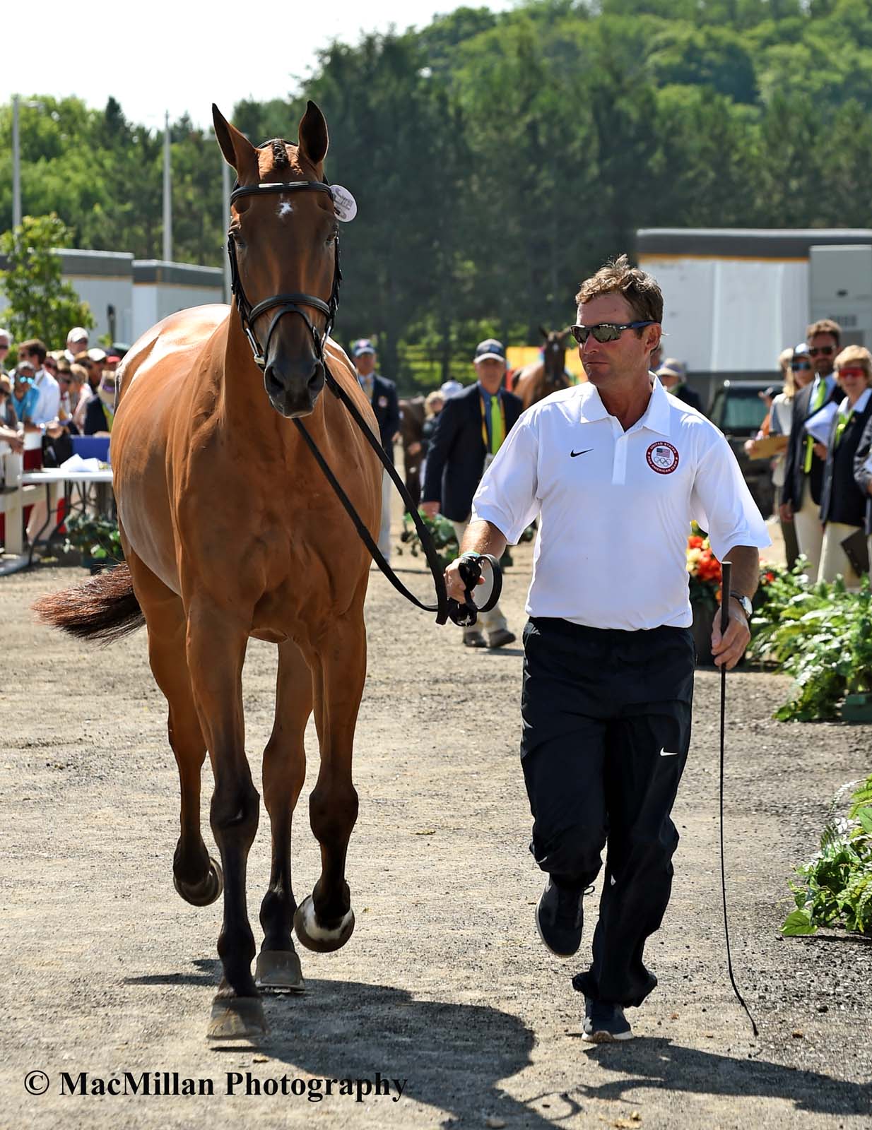 PanAm Eventing Stadium Jumping