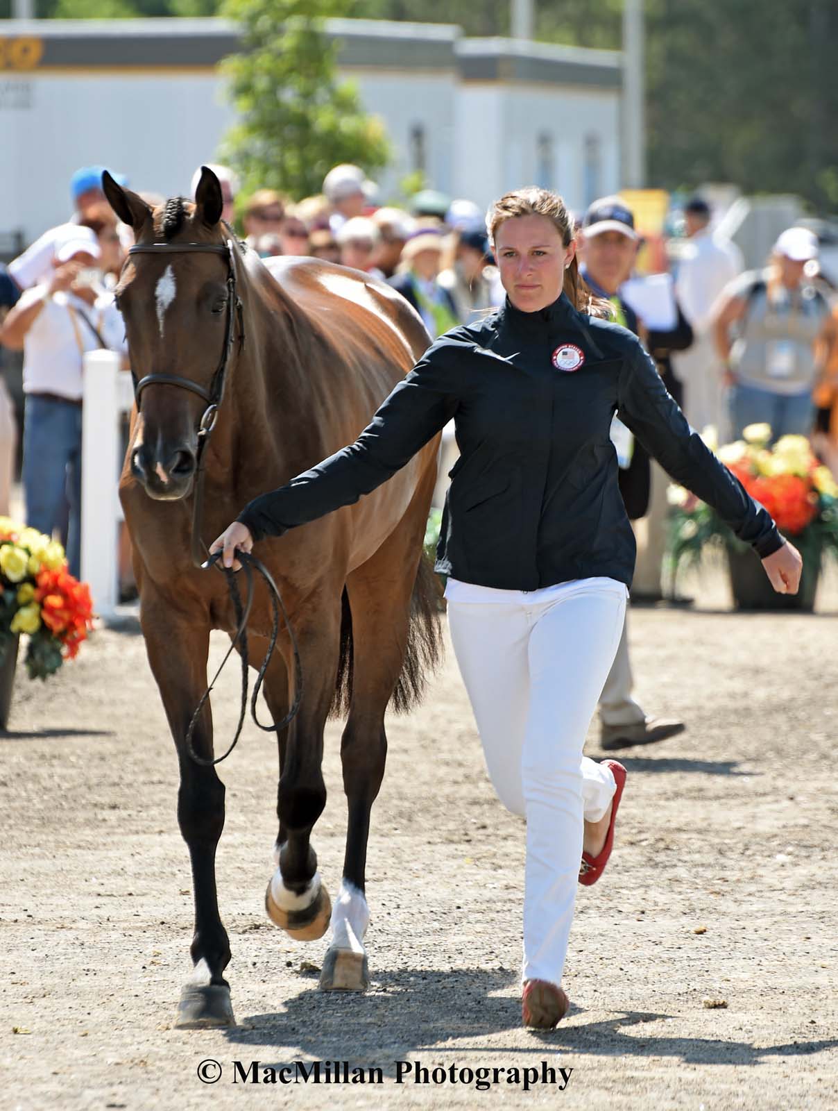 PanAm Eventing Stadium Jumping