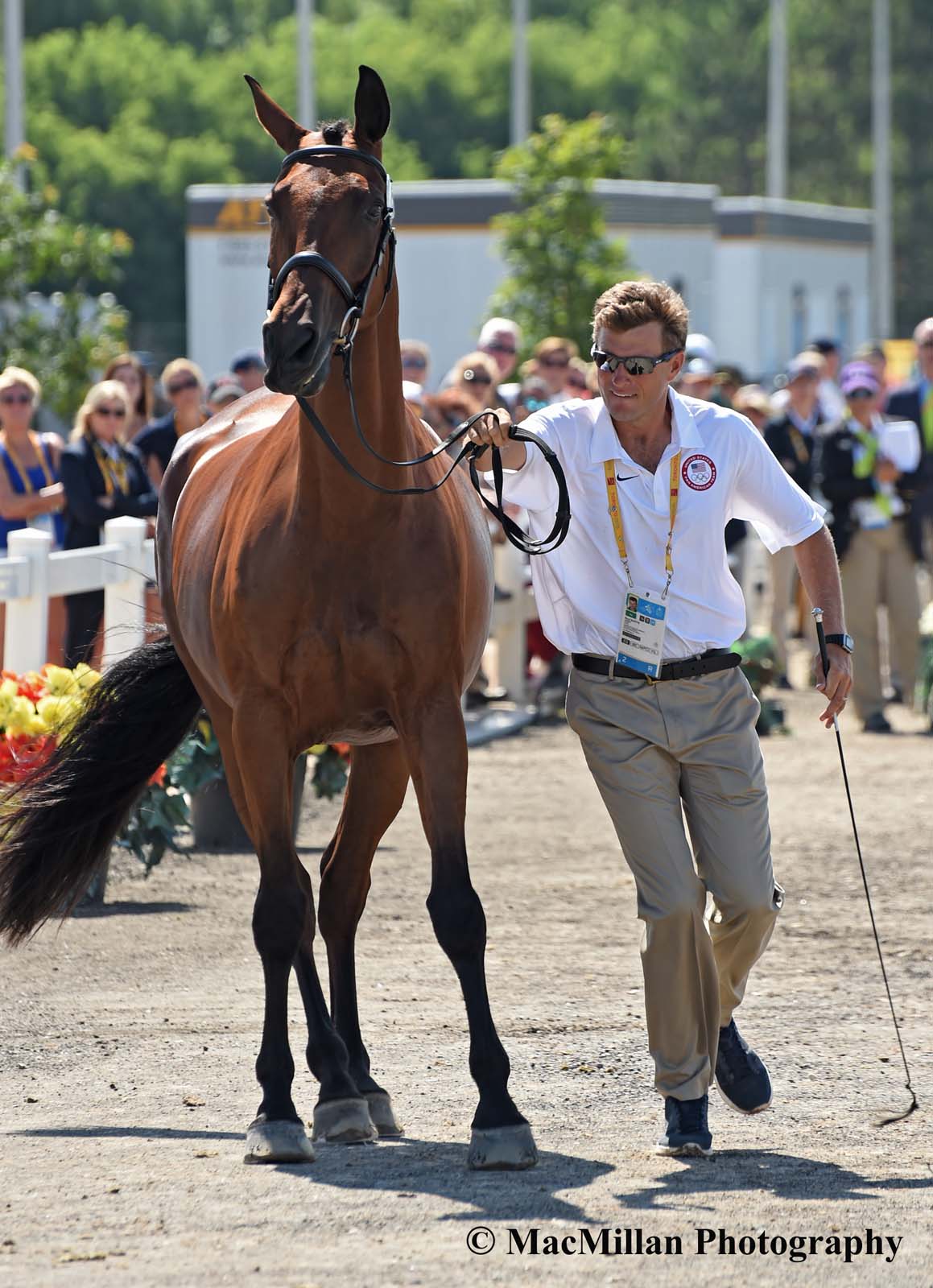 PanAm Eventing Stadium Jumping