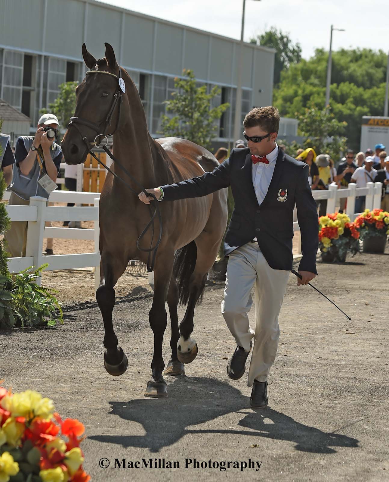 PanAm Eventing Stadium Jumping