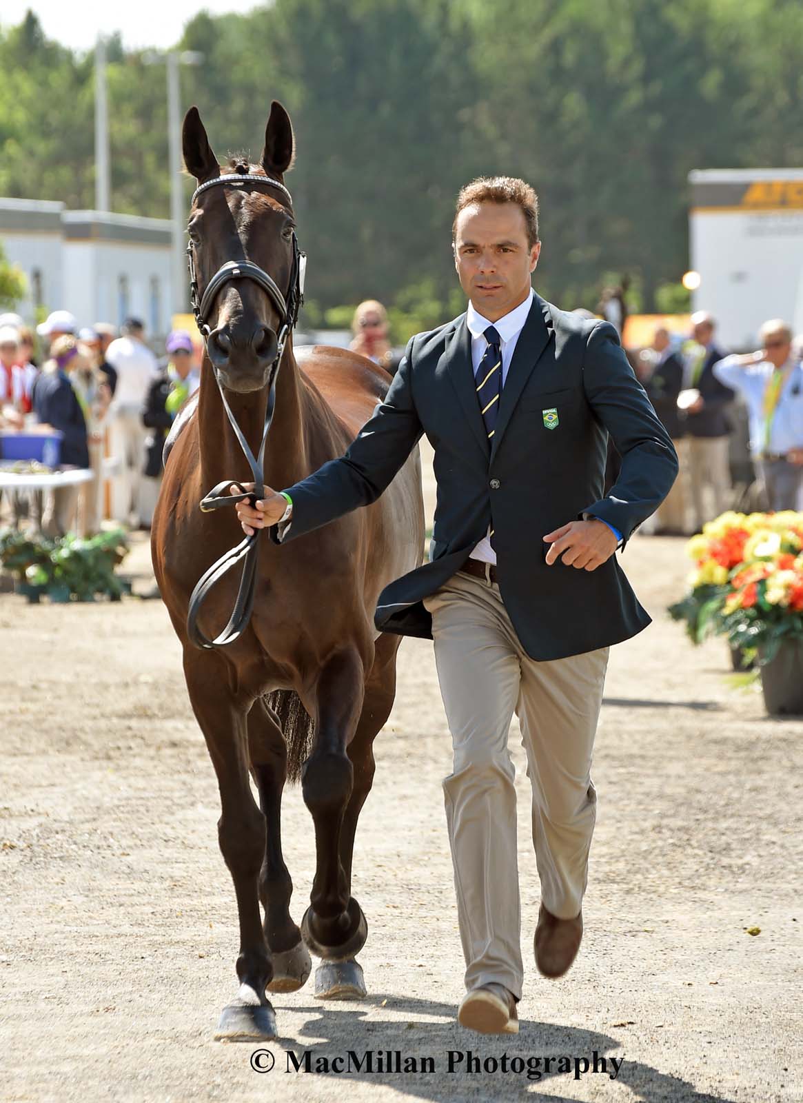 PanAm Eventing Stadium Jumping