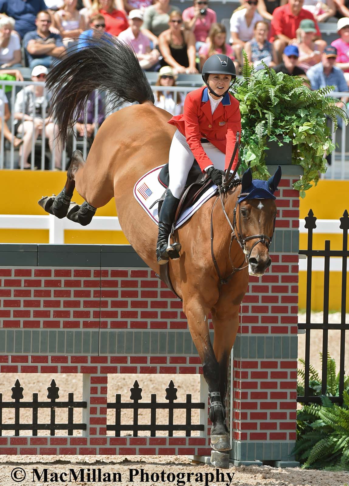 PanAm Show Jumping