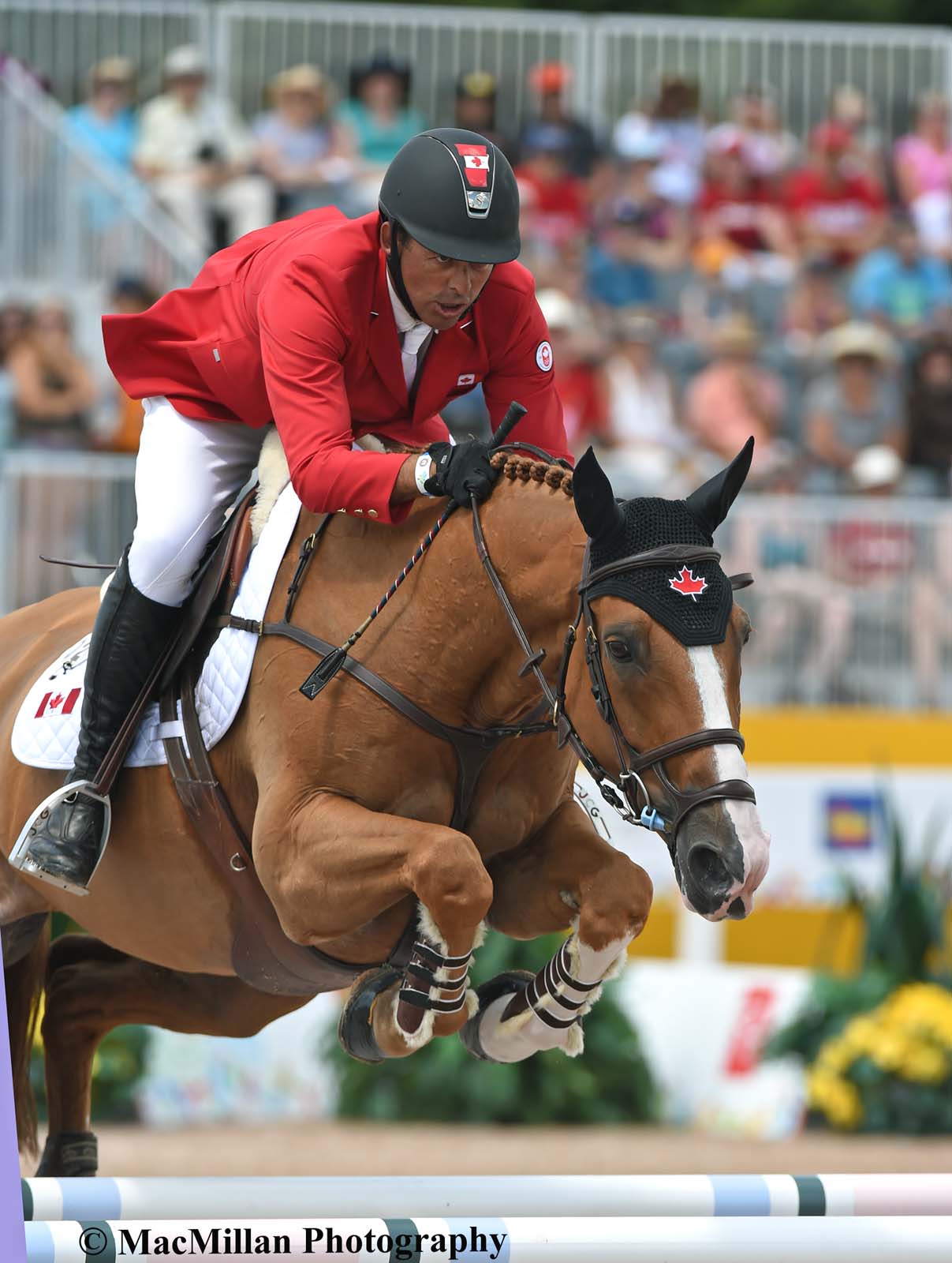 PanAm Show Jumping