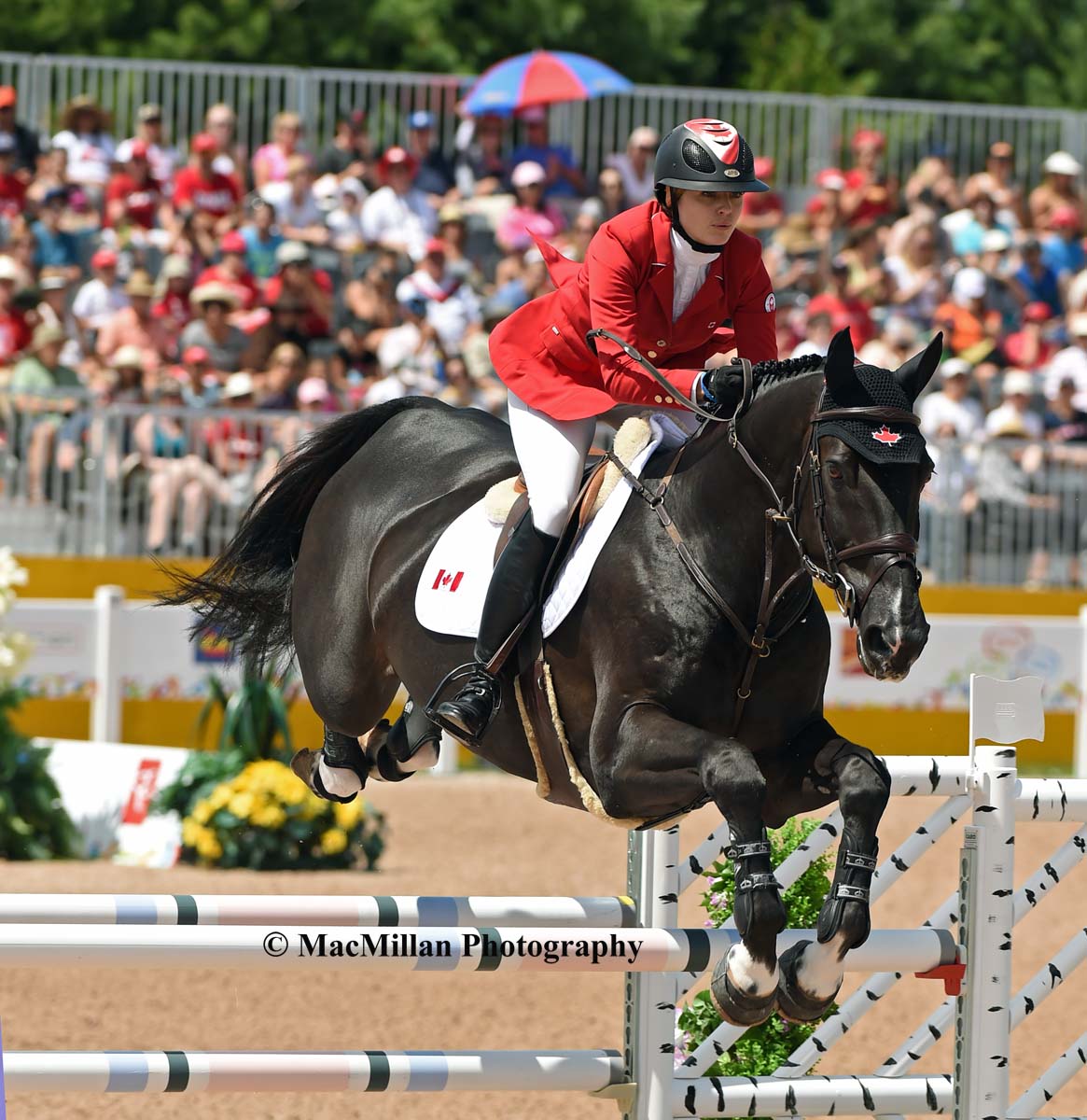 PanAm Show Jumping