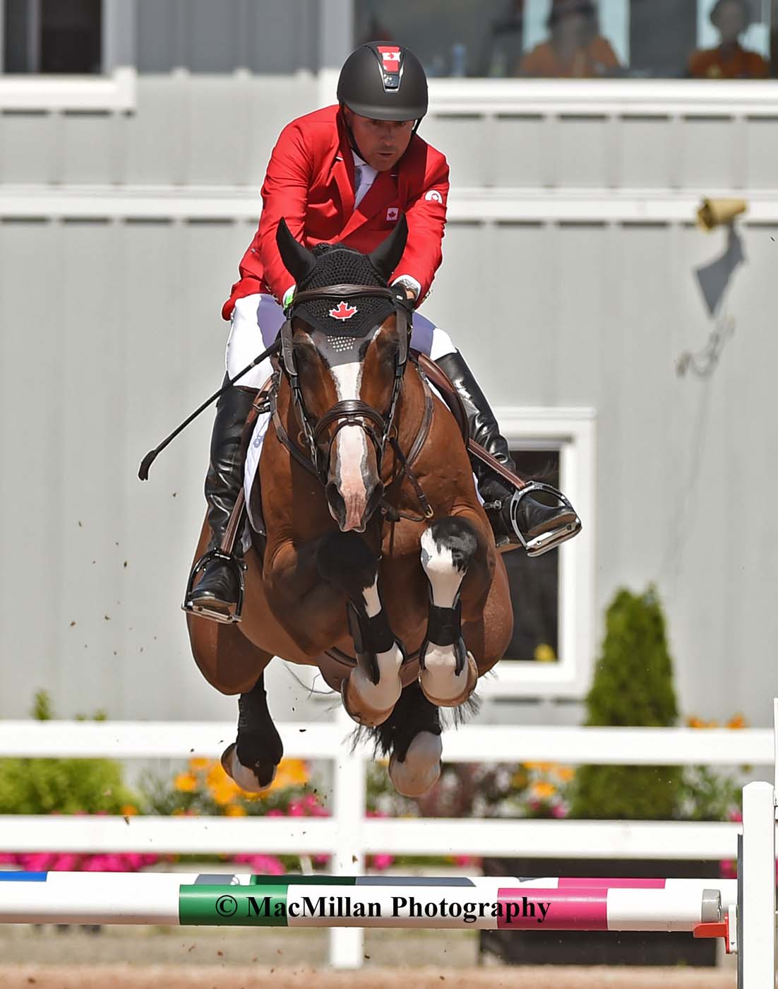 PanAm Show Jumping