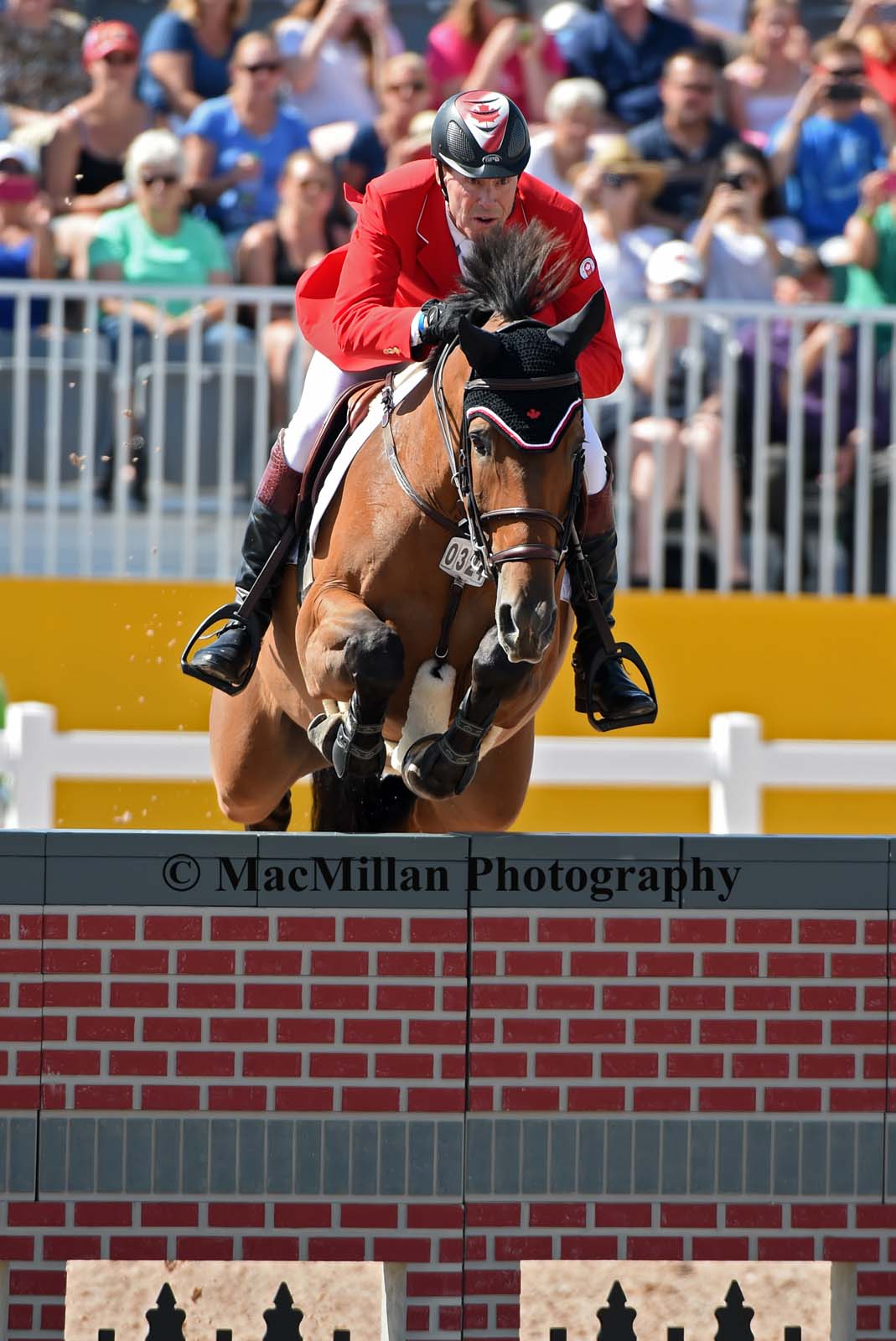 PanAm Show Jumping