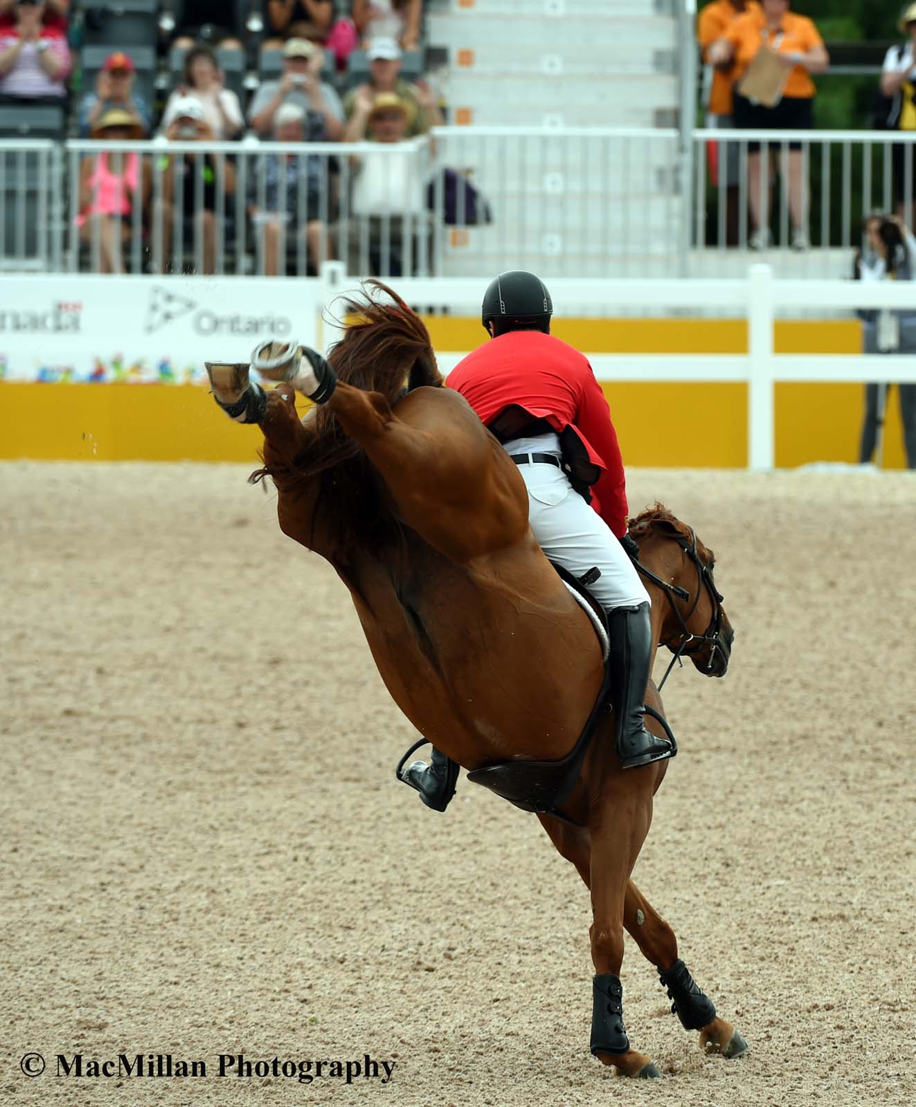 PanAm Show Jumping